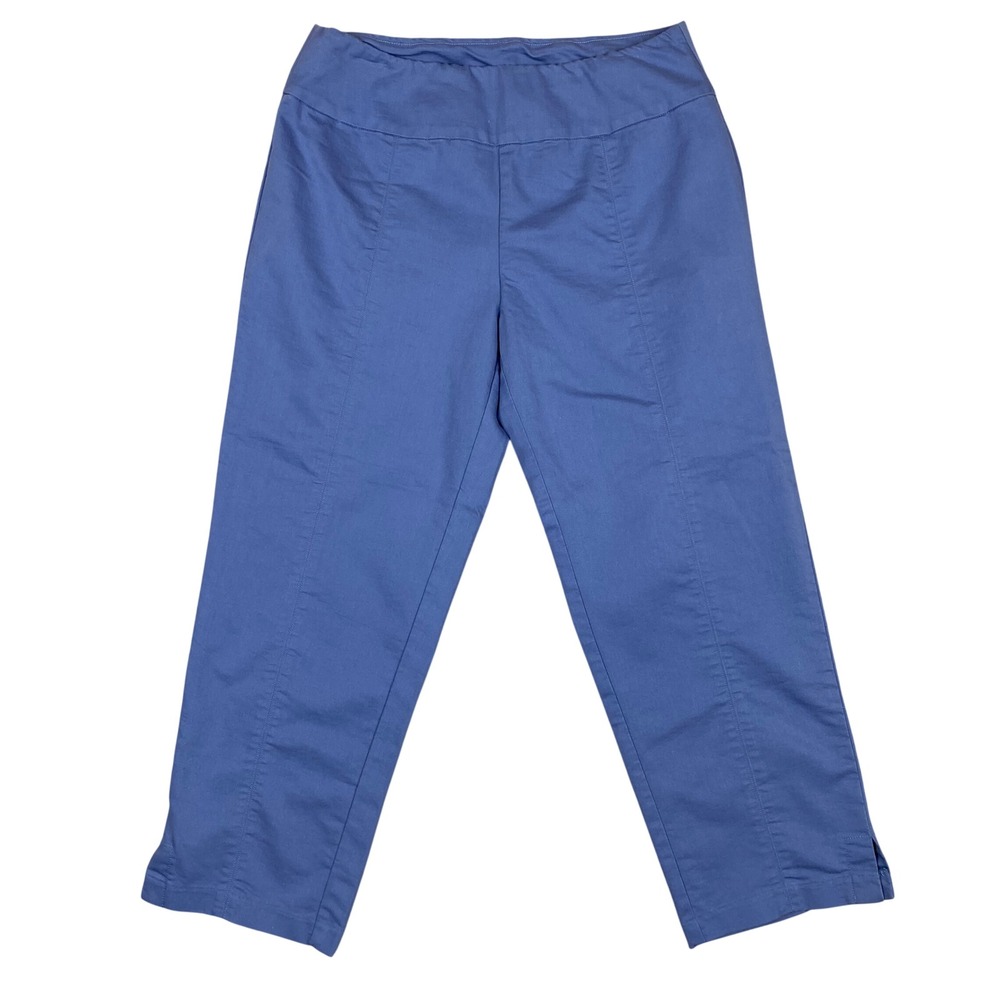 Fresh Produce Pull-On Seamed Cropped Straight Leg Capris Pants Womens M Blue
